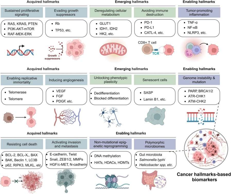Creative Proteomics' biomarker discovery workflow.