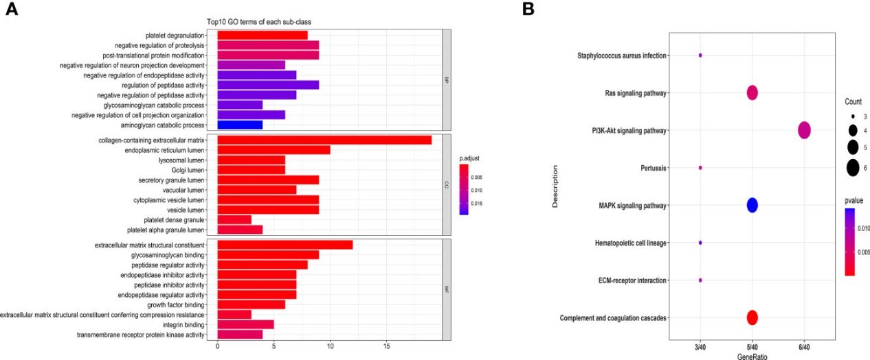 Results for GO and KEGG pathway analyses.