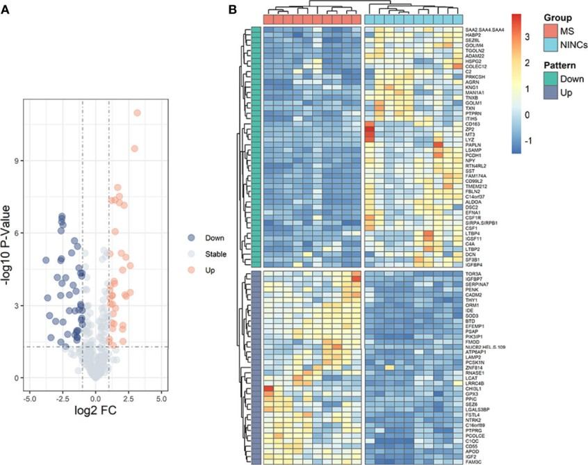 Results for volcano plot and heatmap.