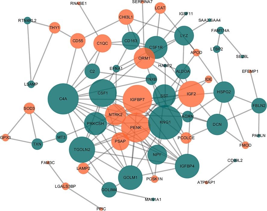 Results for the DEPs interaction network.