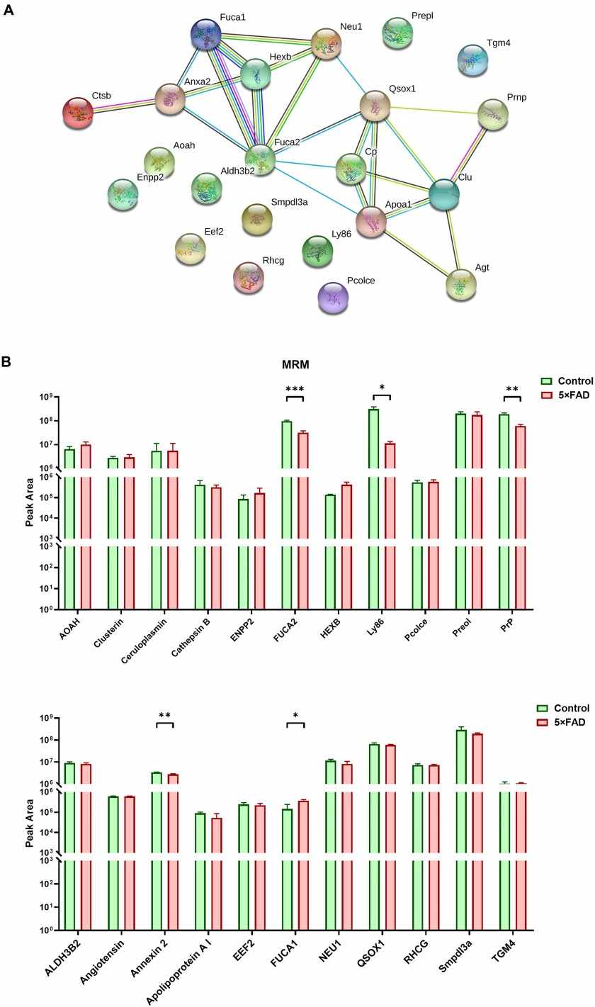 PPI analysis the target proteins. 