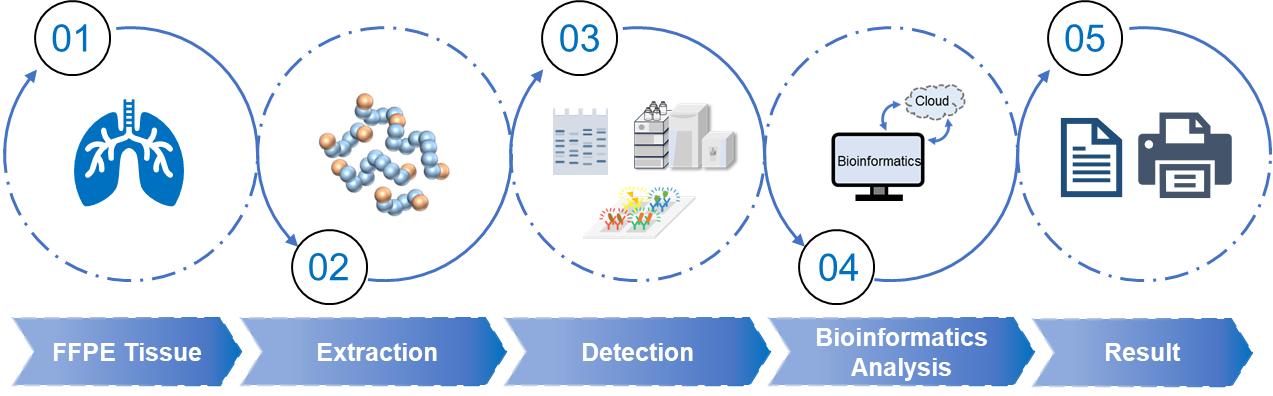 Fig.2 FFPE tissue proteomics workflow