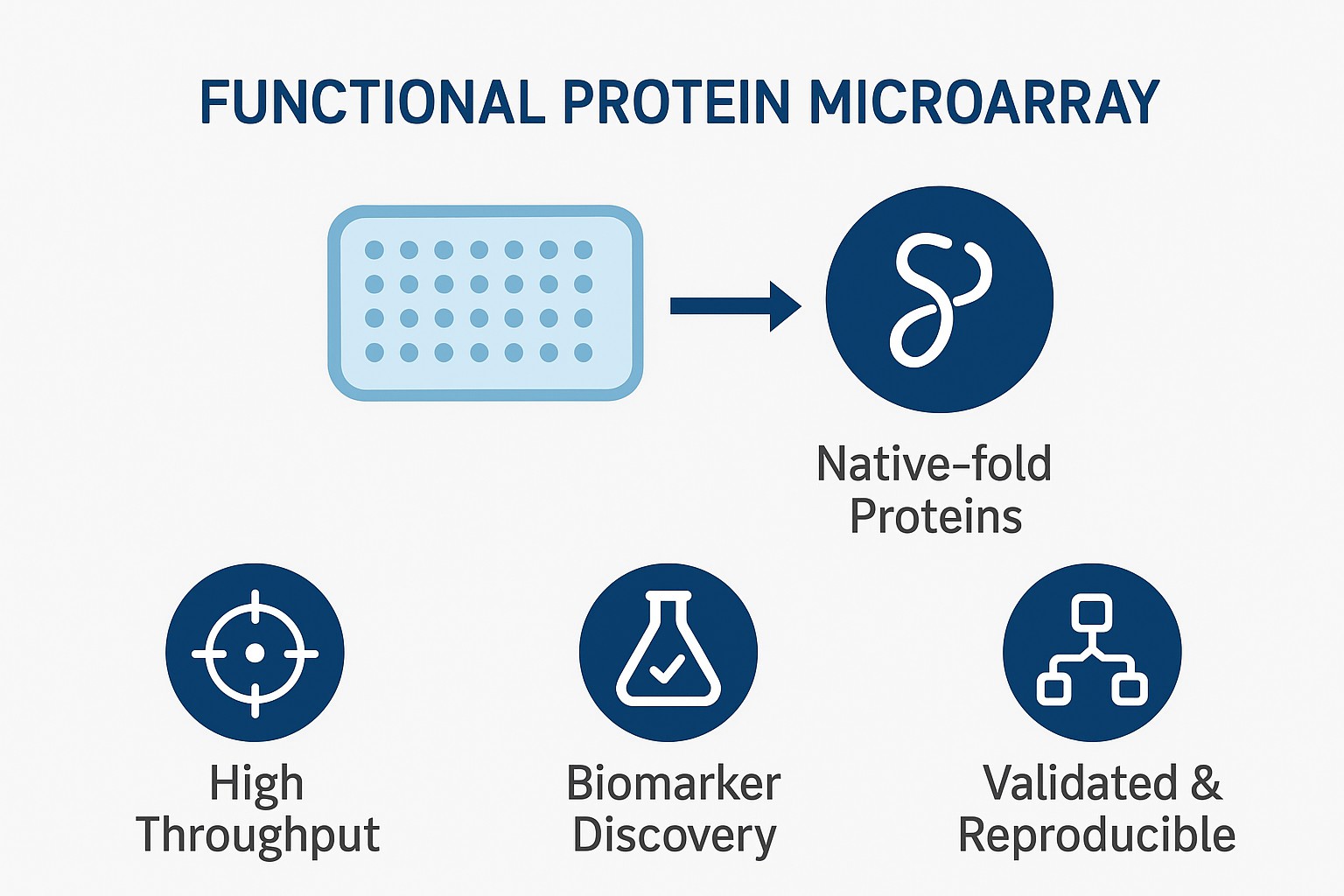 Creative Proteomics’ functional protein microarray service.