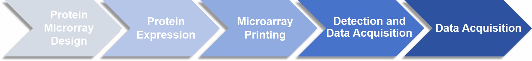 Functional protein microarray service workflow.