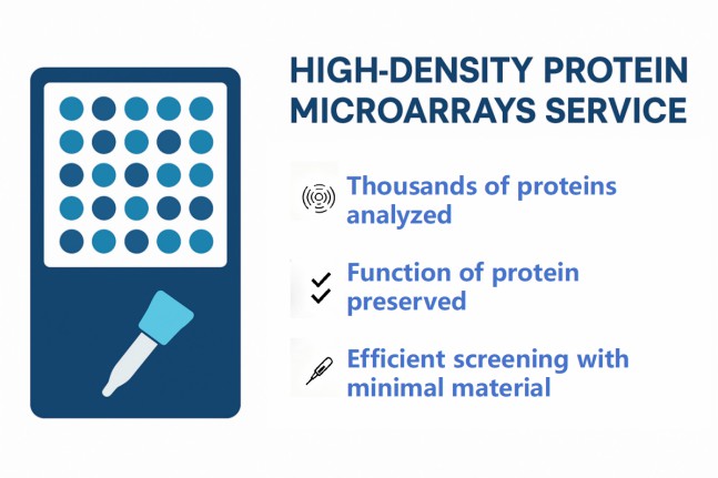 Creative Proteomics’ high-density protein microarrays service.