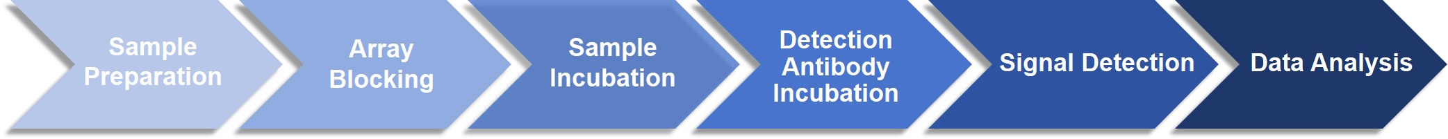 Creative Proteomics' HUMAN quantitative proteomics arrays service workflow.