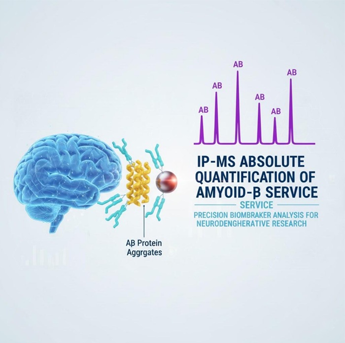 Aβ IP/MS Service quantification service