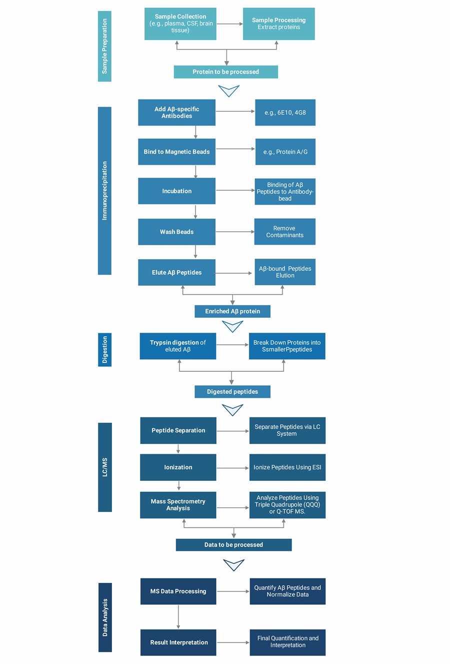 IP/MS quantification workflow