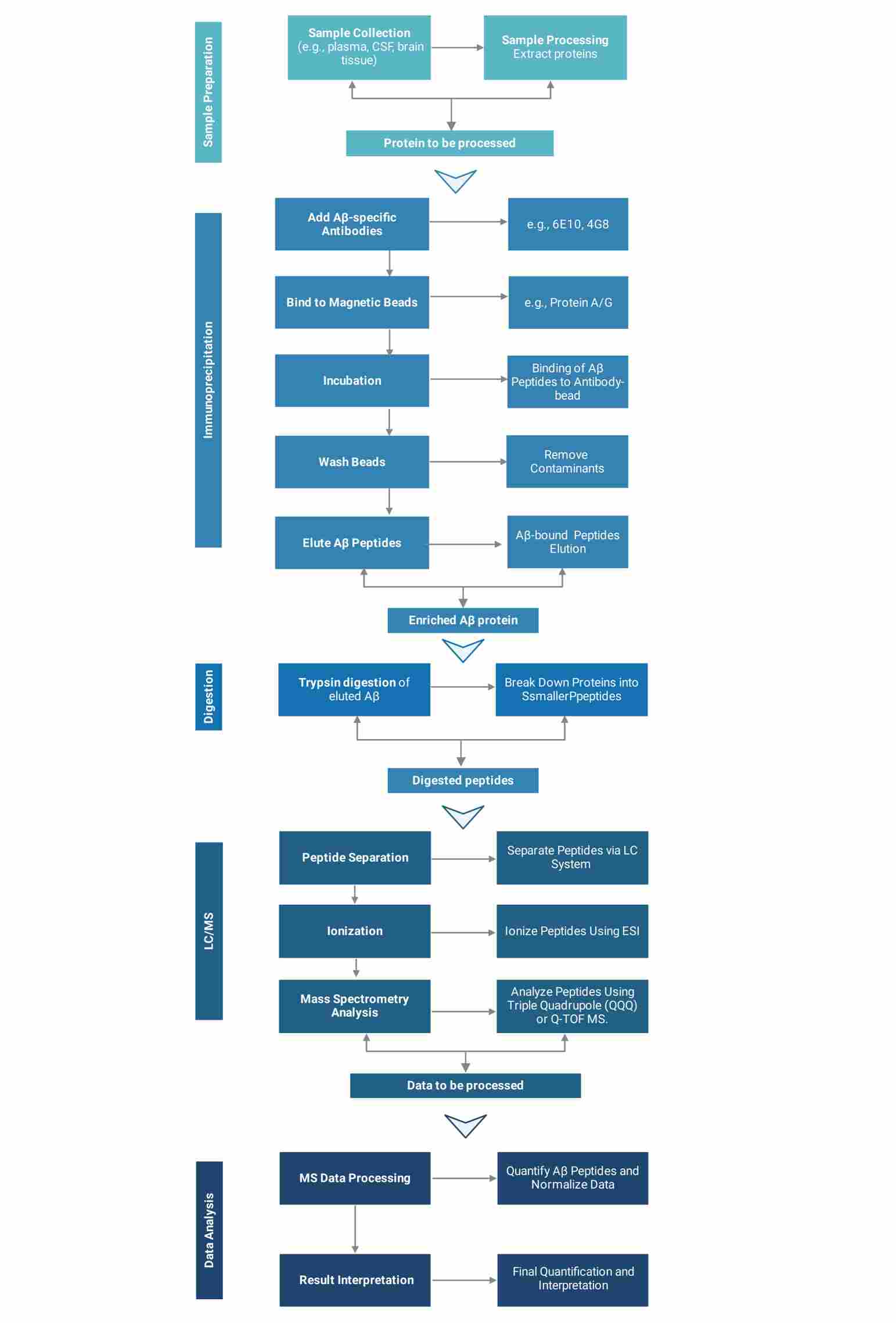 IP/MS quantification workflow