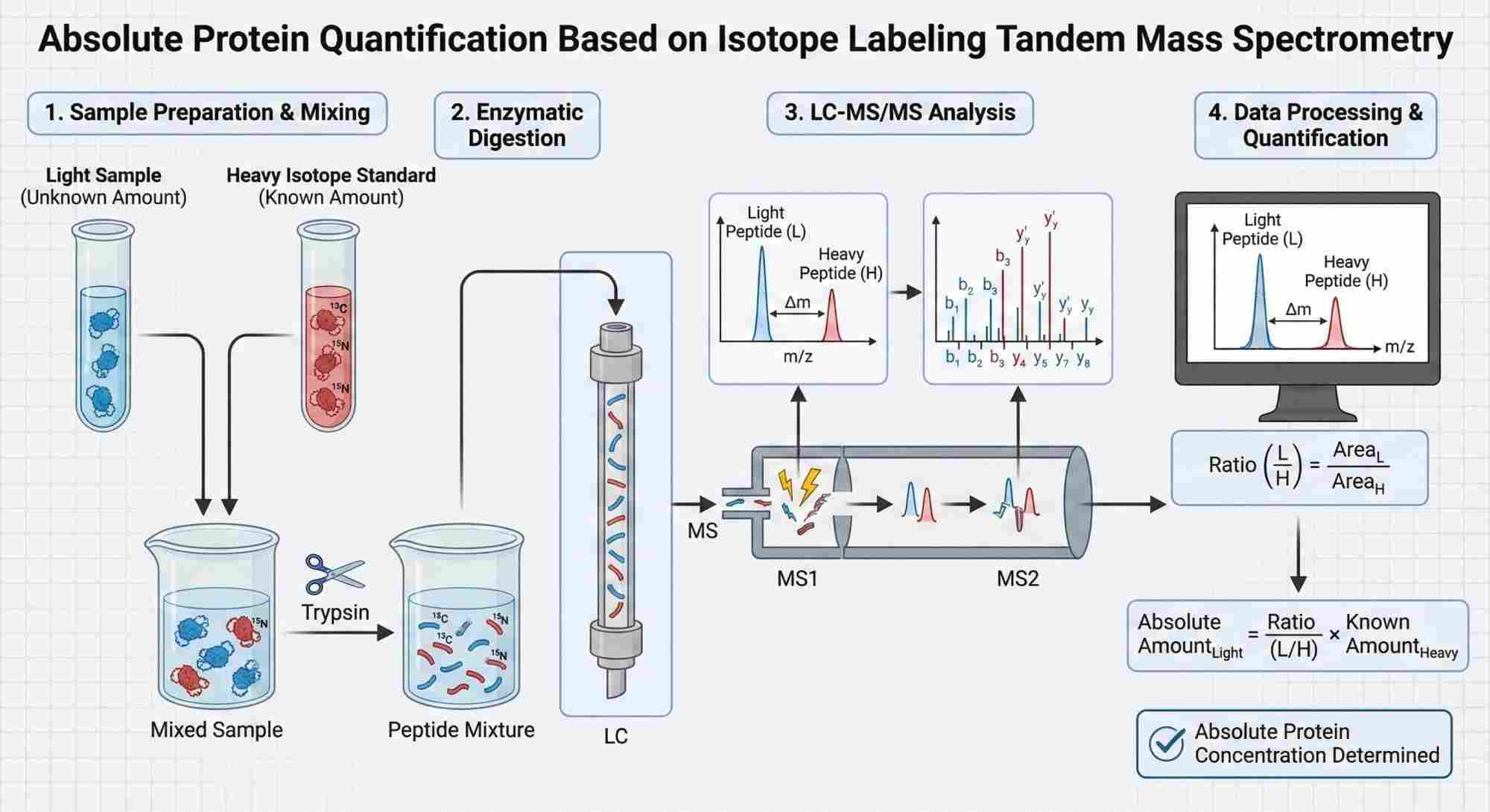 mechanism of absolute quantification