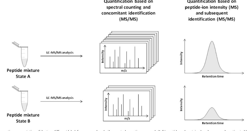 Fig. 1. Schematic of label-free proteomics