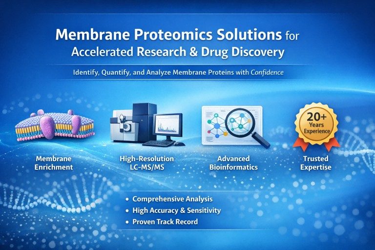 Creative Proteomics' membrane proteins services.