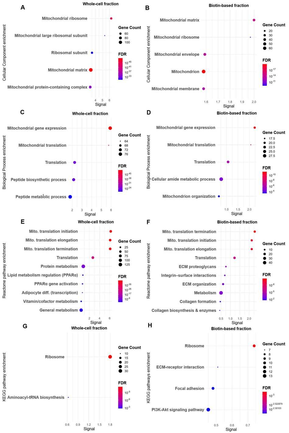 GO and pathways enrichment analyses of differentially abundant proteins.