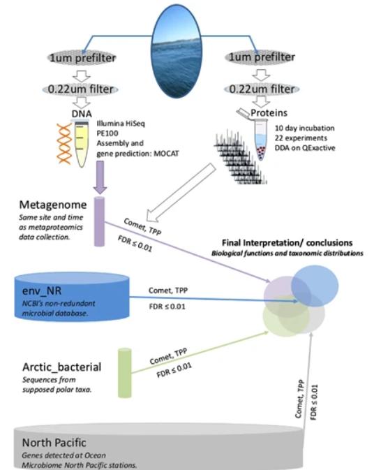 Fig.1 Schematic of metaproteomics