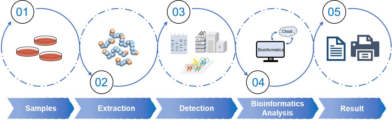 Fig.2 Metaproteomics service workflow