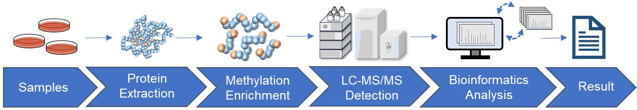 Fig.2 Methylation analysis workflow