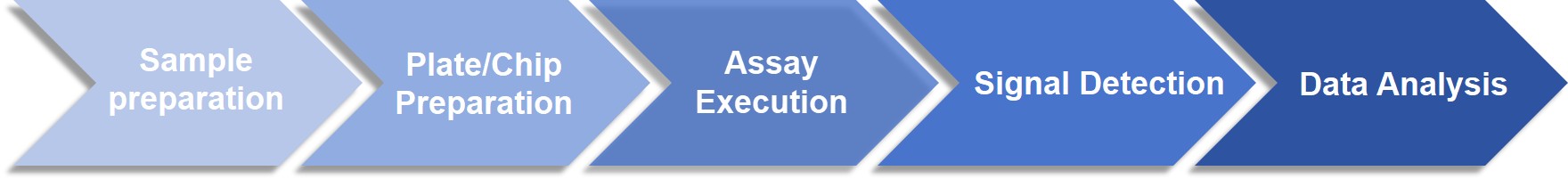 Multiplex ELISA arrays service workflow.