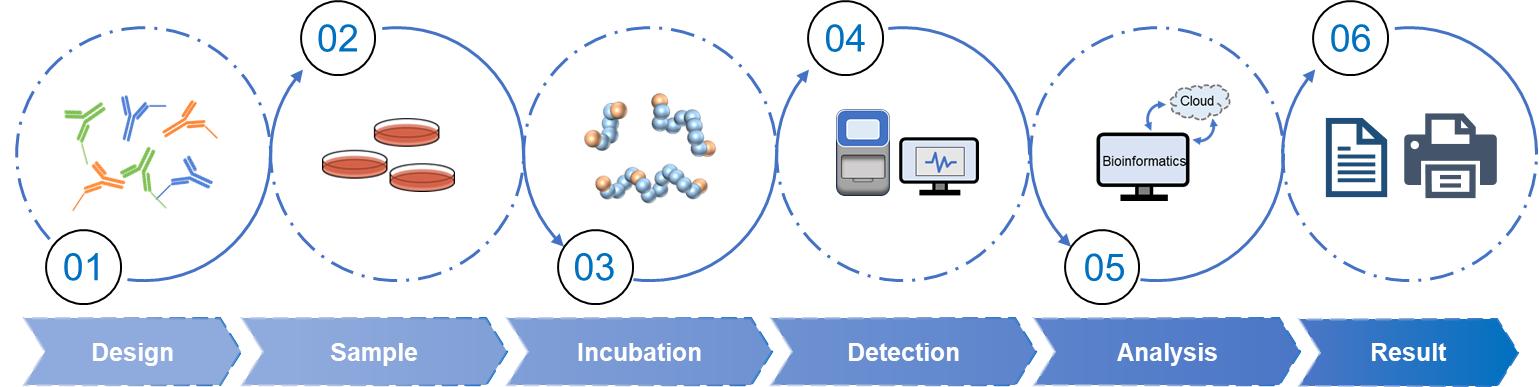 Fig 2. Workflow of olink proteomics