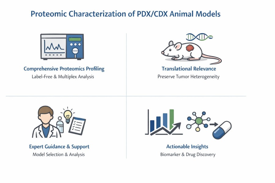 Creative Proteomics' PDX/CDX models characterization services.
