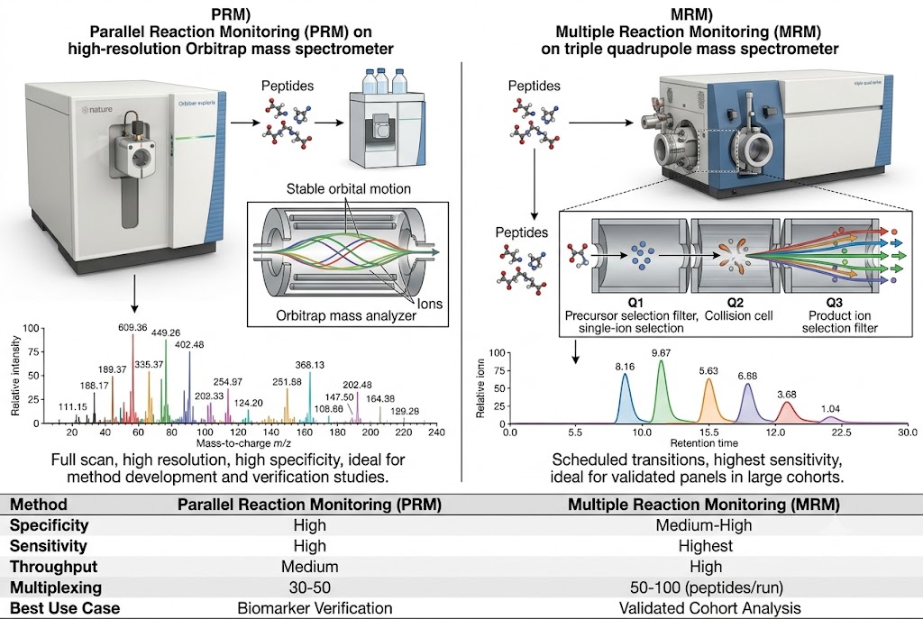 Side-by-side comparison of PRM on high-resolution Orbitrap and MRM on triple quadrupole for biomarker validation