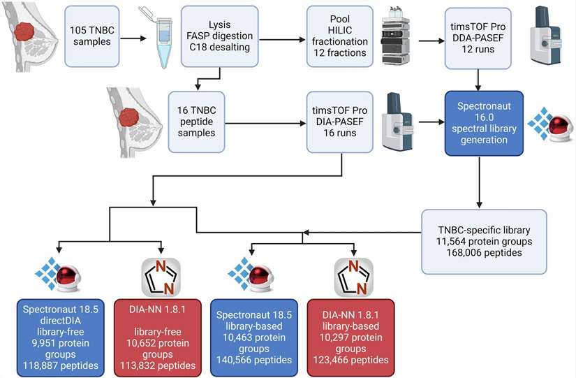Experimental workflow for DDA/DIA-PASEF hybrid library construction and DIA quantification