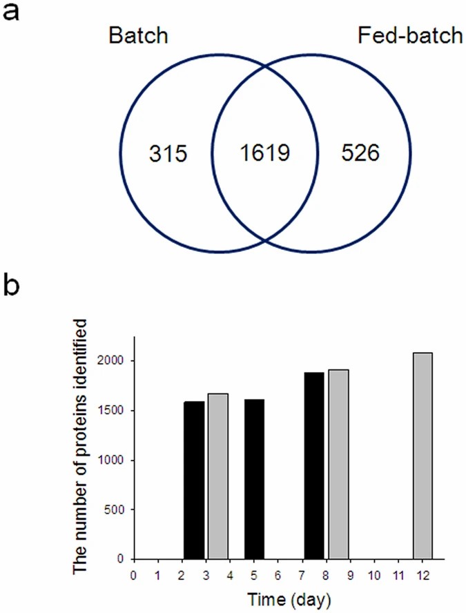 Case study: HCP identification counts across culture time points comparing batch and fed-batch CHO cultures (Fig. 4 from Park et al. 2017)