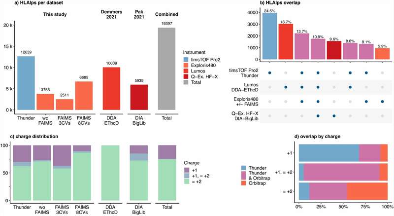 SARS-CoV-2 spike protein HLA-I peptide identification and validation
