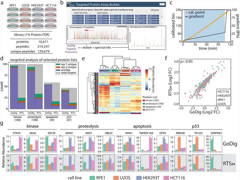 Case study data: protein family profiling results from Yu et al. 2023 showing quantitative coverage and technical repeatability of GoDig across 4 human cell lines
