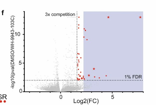 Off-target cysteine quantification results showing occupancy scatter plot, bar chart of top off-targets, and identification table