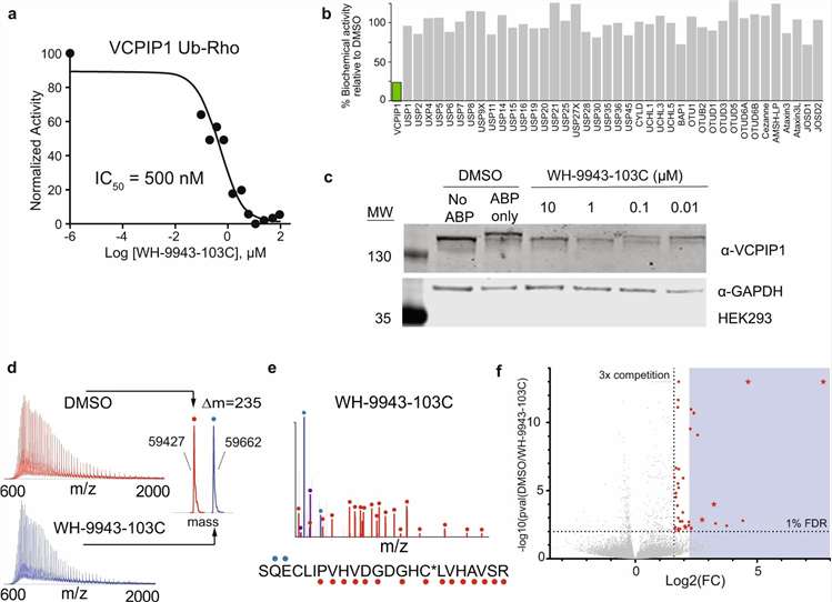 DUB selectivity assessment across enzyme family members showing activity heatmap, phylogenetic tree, and selectivity window