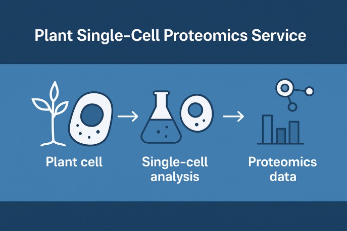 Creative Proteomics’ plant single-cell proteomics service.