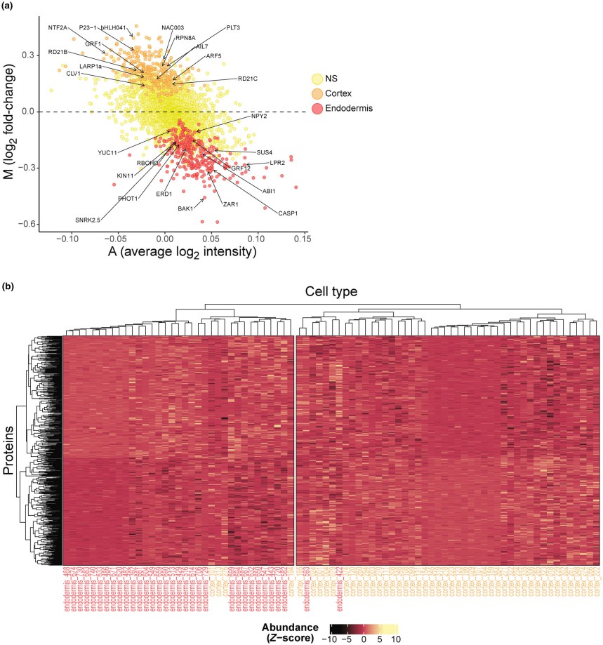 Differential expression analysis.