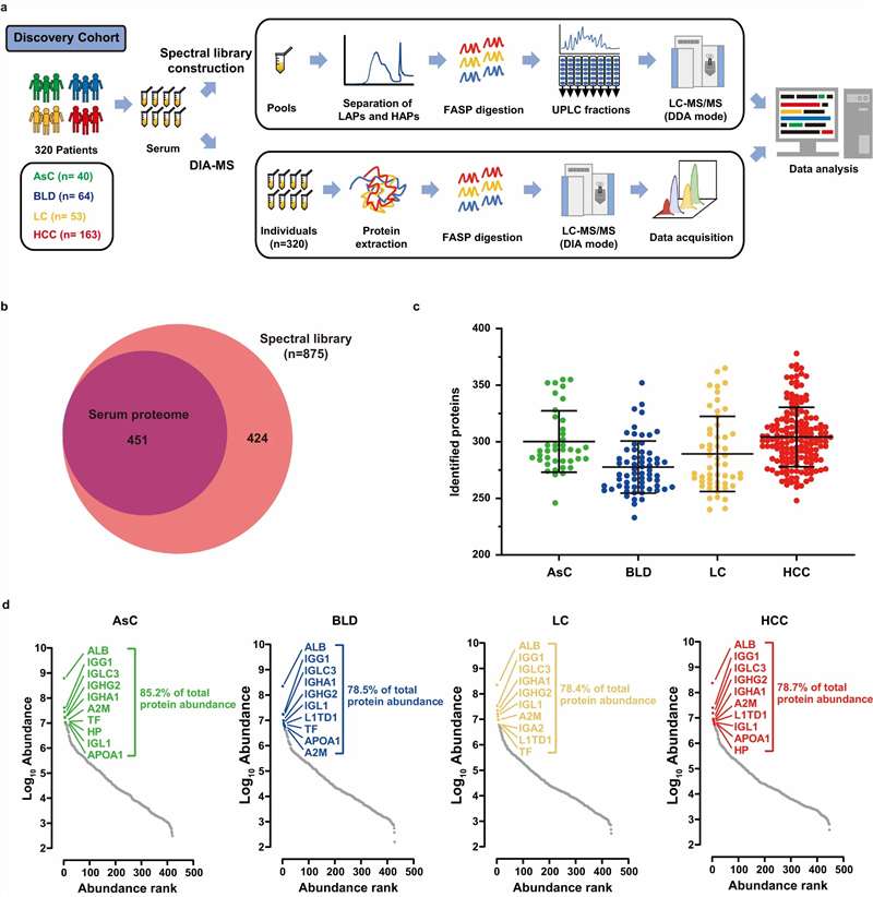 Case study: DIA-based serum proteomic analysis of discovery cohort — protein identification and quantification results (Fig. 2 from Xing et al. 2023)