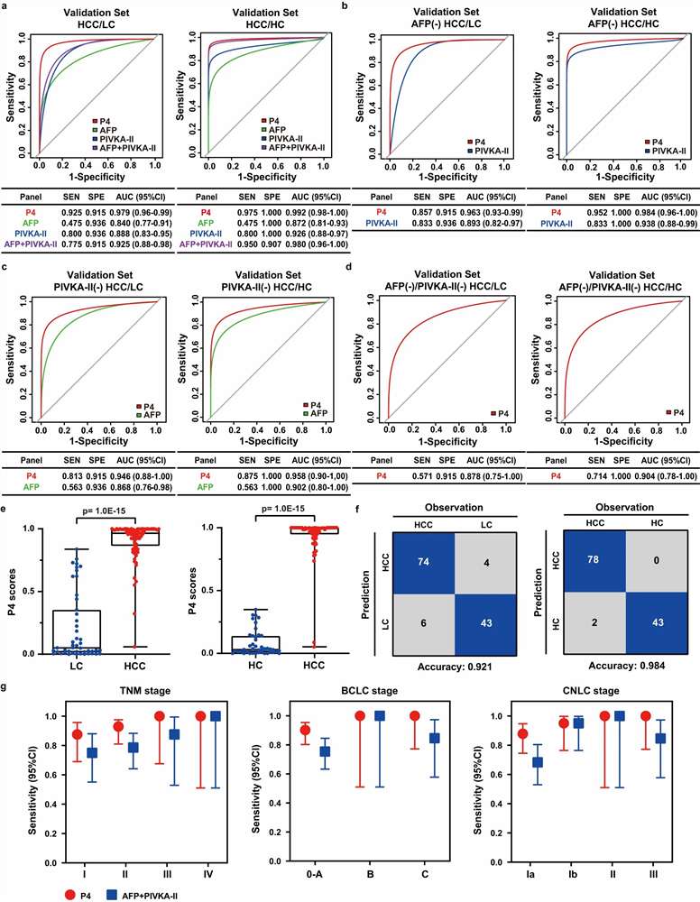 Case study: P4 model diagnostic performance in independent validation cohort — ROC curves and performance metrics (Fig. 6 from Xing et al. 2023)