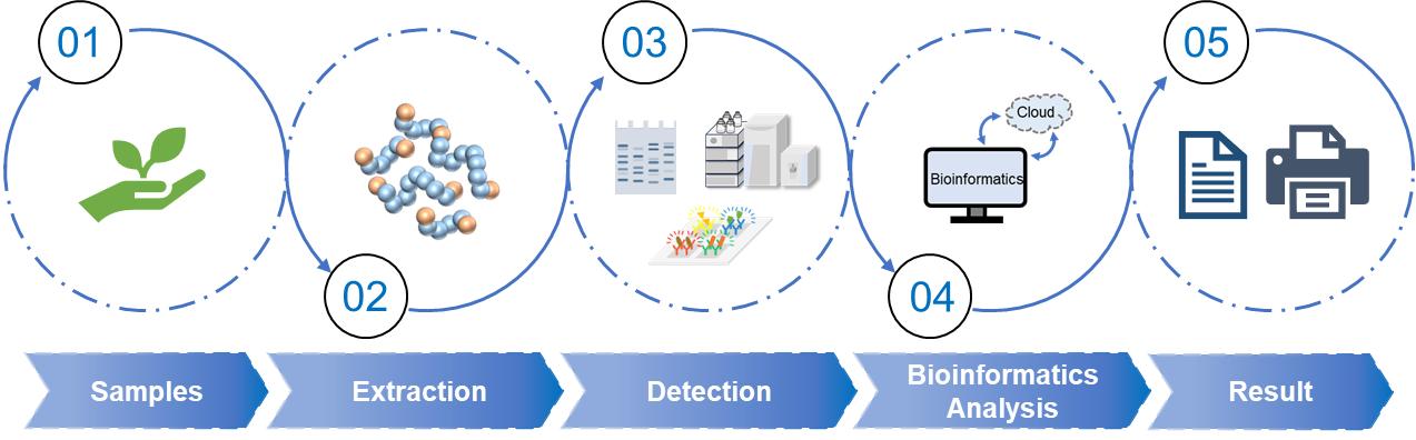 Fig.2 Plant proteomics service workflow