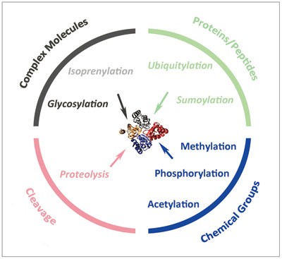 Fig.1 Schematic of PTM