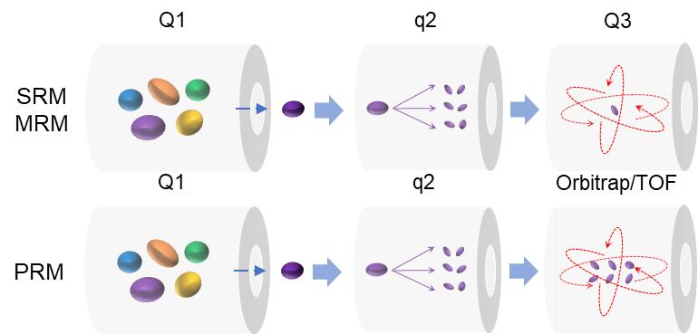 Fig. 1. Schematic of MRM/SRM and PRM data acquisition