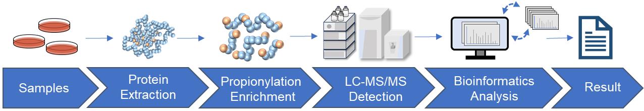 Fig.2 Propionylation analysis workflow