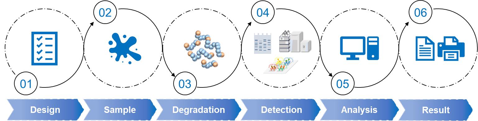 Fig. 2 Workflow of PROTAC assay service