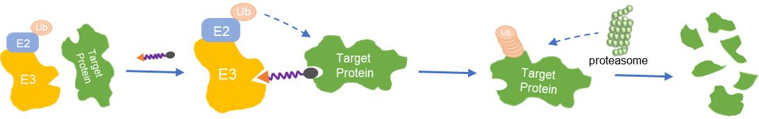 Fig 1. Schematic of UPS process