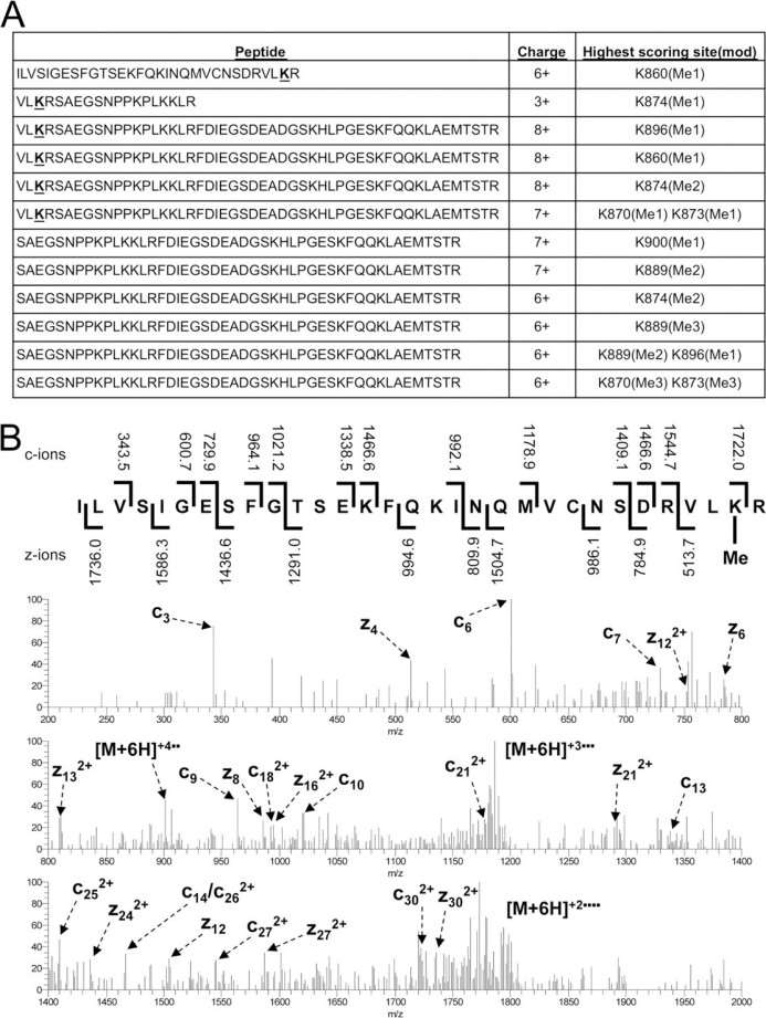 Mass spectrometry analysis of methylation.
