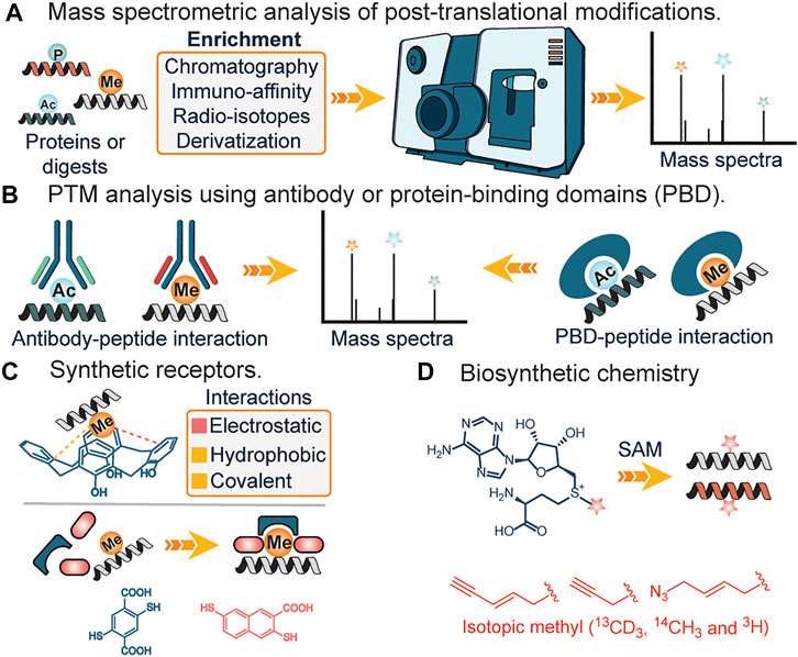 Fig.1 Schematic of PTM profiling