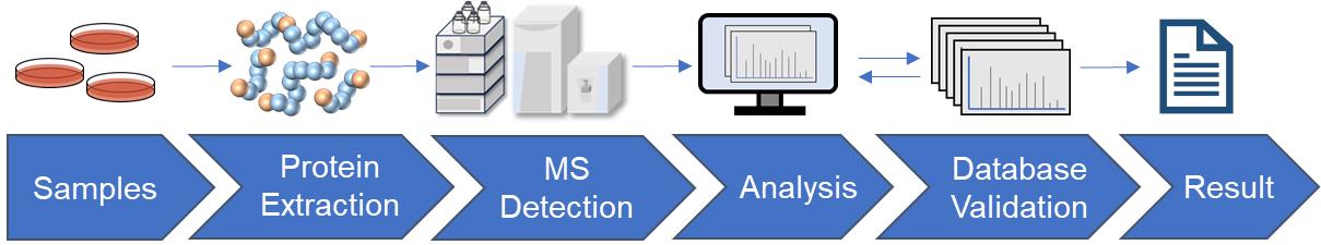 Fig.2 PTM profiling analysis workflow