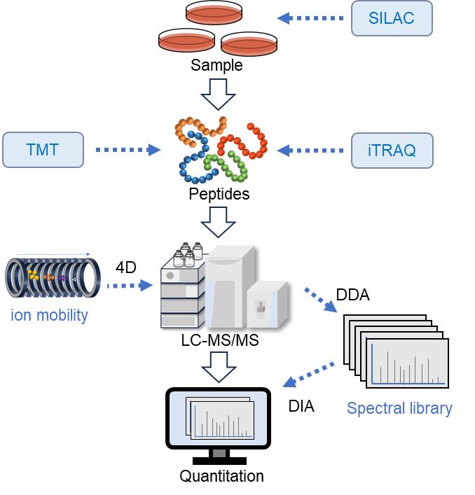 Fig.1. Schematic of quantitative proteomics