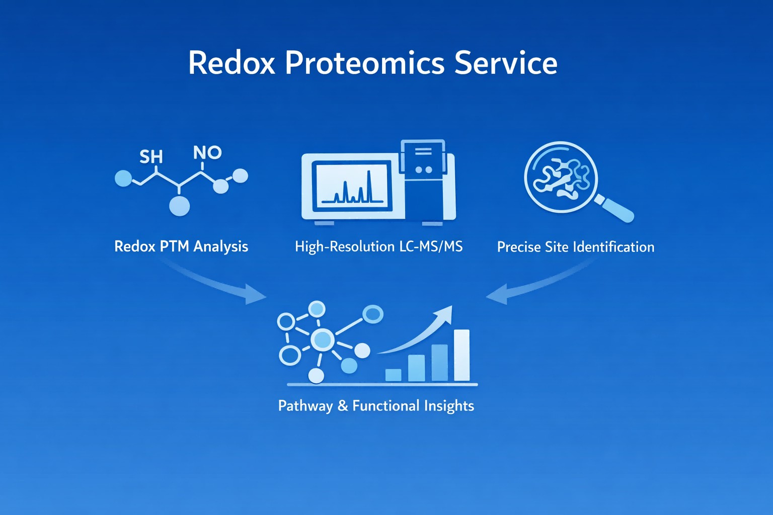Creative Proteomics' redox proteomics services.
