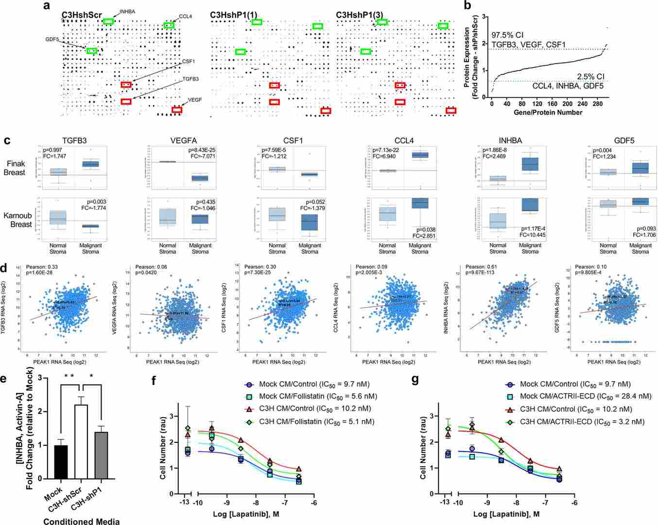 Result of PEAK1-dependent INHBA/activin-A expression/secretion from MSCs mediates MSC-induced lapatinib resistance.