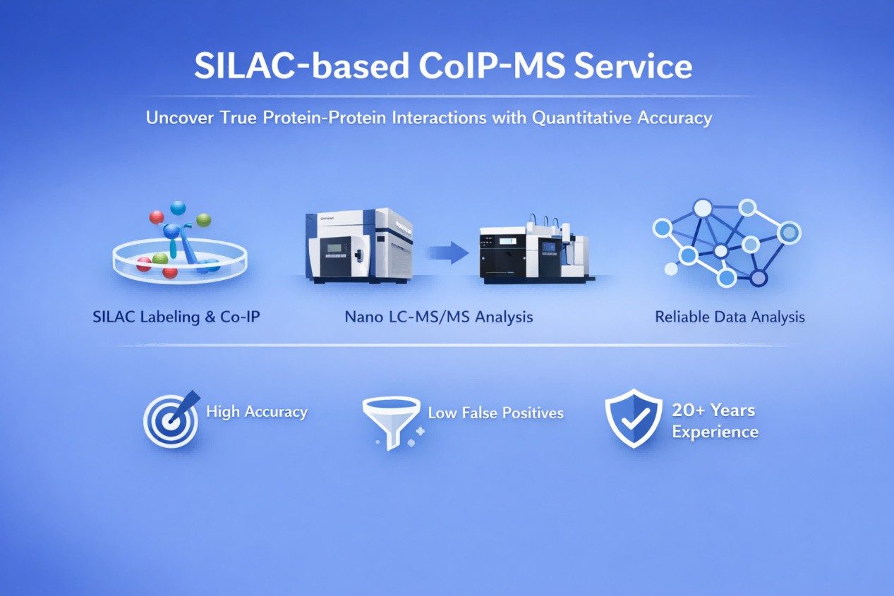 Creative Proteomics' SILAC-based CoIP-MS services.