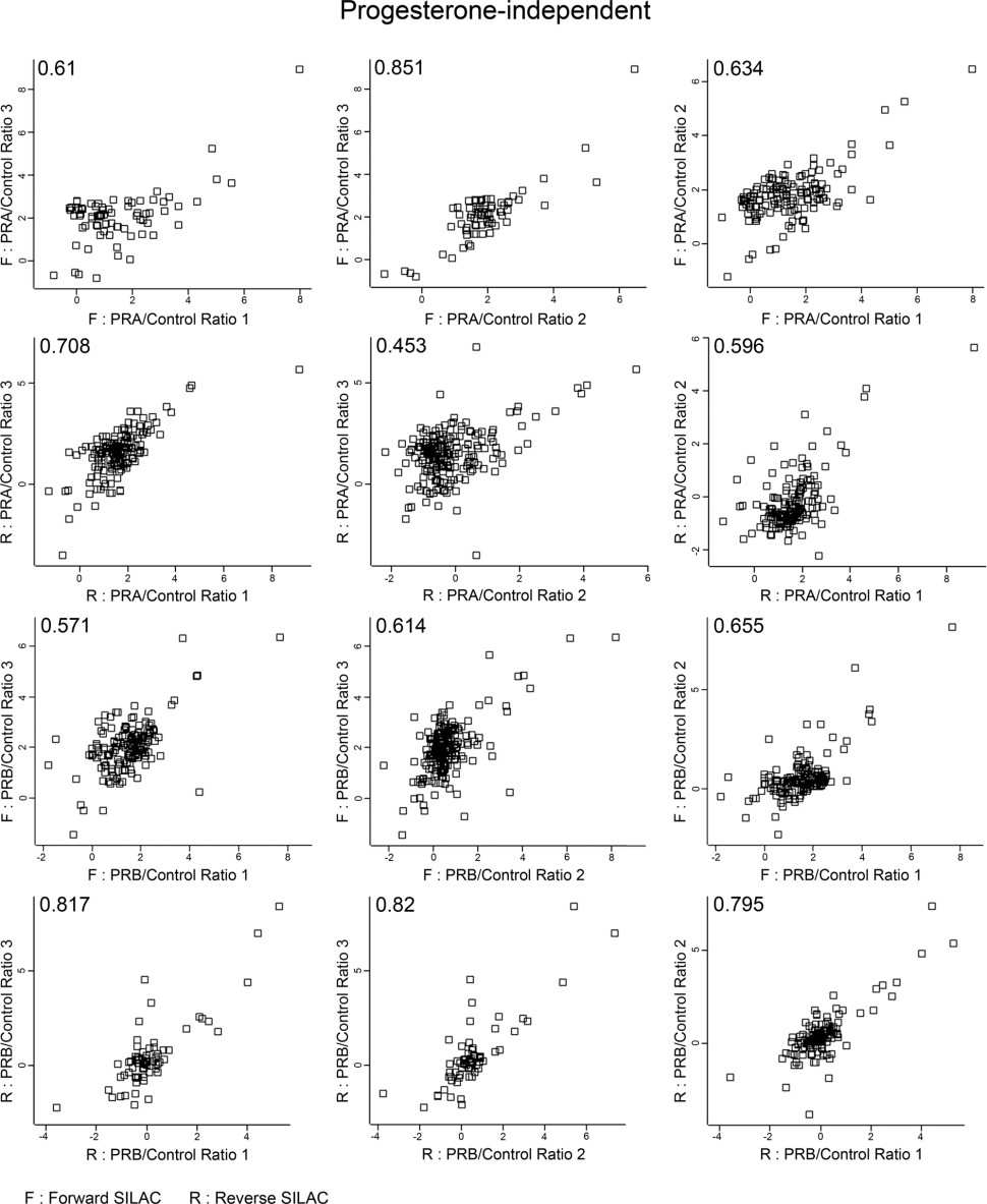 Functional enrichment analysis of PRA and PRB interacting partners.