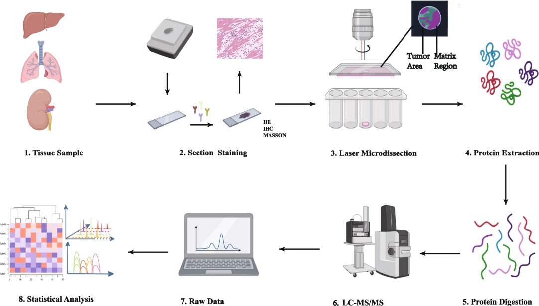 Procedure of spatial proteomics methods.