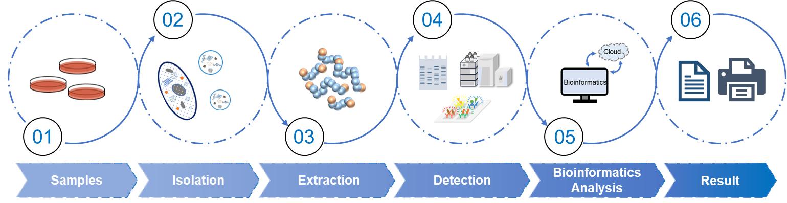 Fig.2 Spatial proteomics workflow